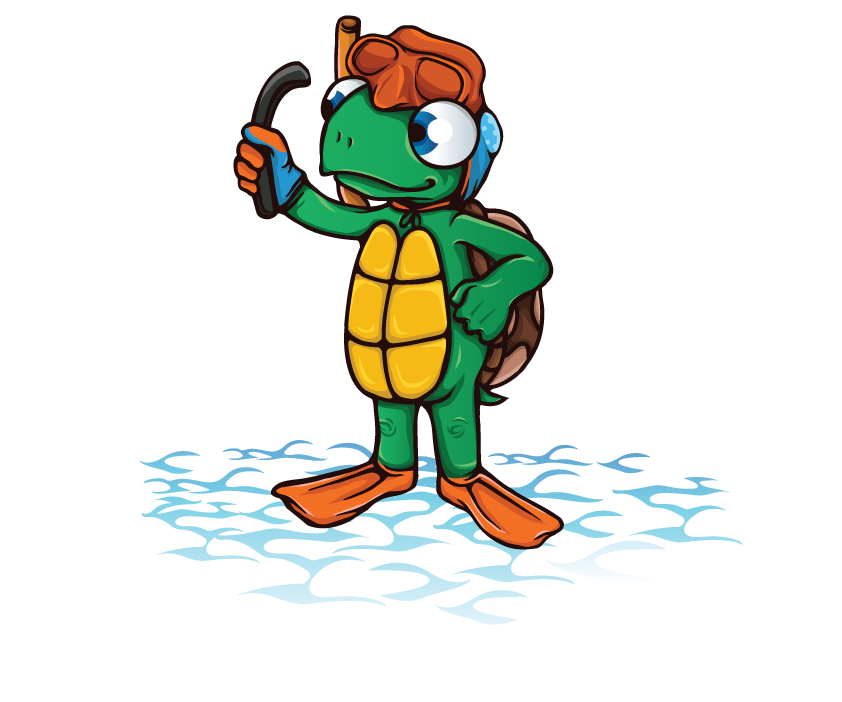 TARTARUGAS